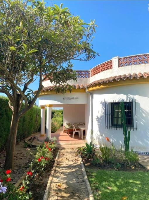 Tierra Del Sur Villa Conil De La Frontera Exteriör bild
