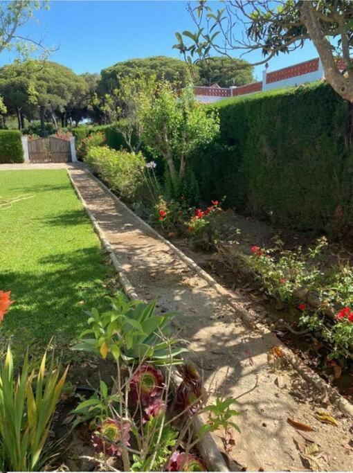 Tierra Del Sur Villa Conil De La Frontera Exteriör bild