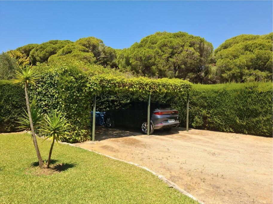 Tierra Del Sur Villa Conil De La Frontera Exteriör bild
